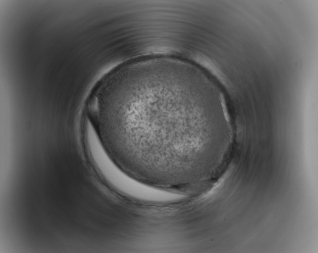X0000091931026200709261910