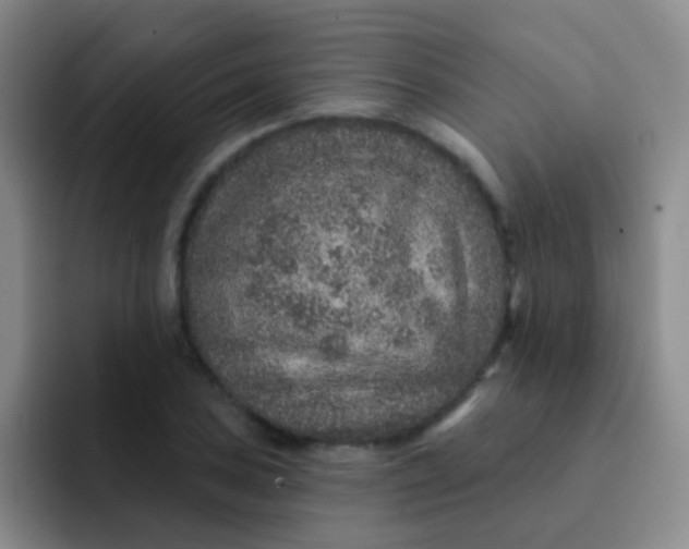 X0000091931027200709261910