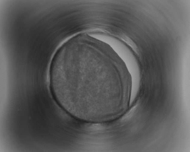 X0000091931028200709261910