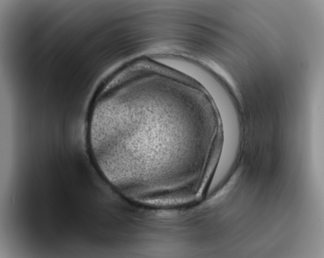 X0000091931029200709261910