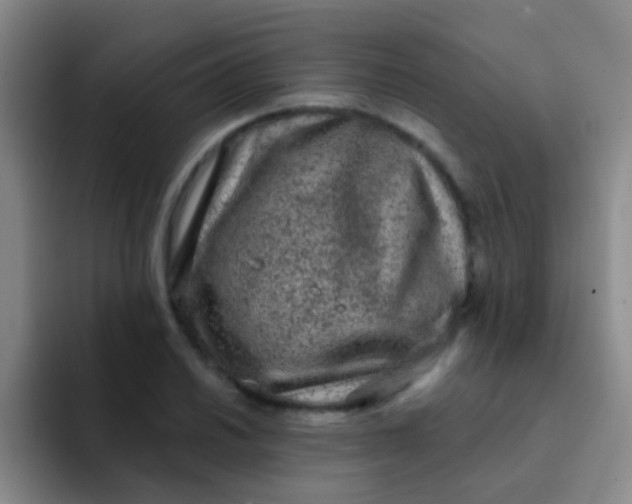 X0000091931030200709261910