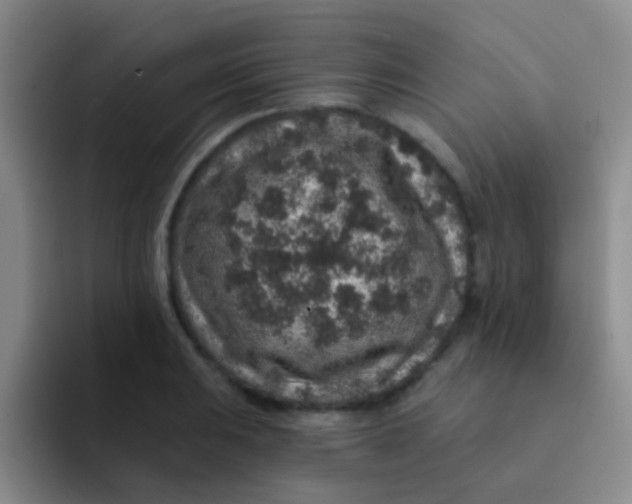 X0000091931031200709261910
