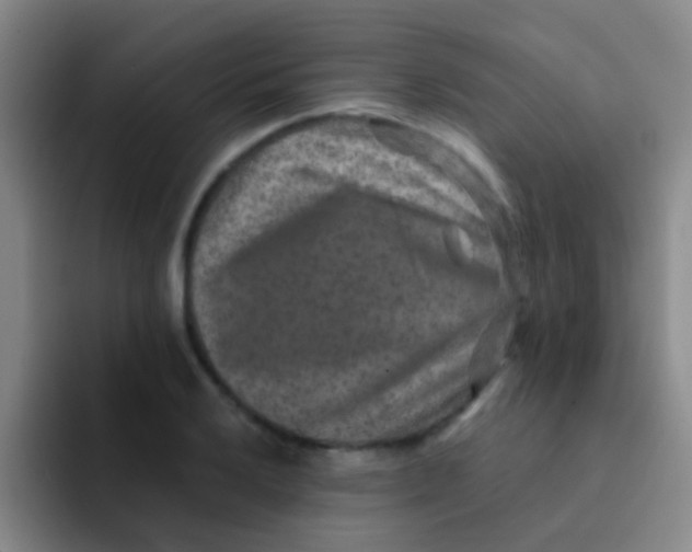 X0000091931032200709261910