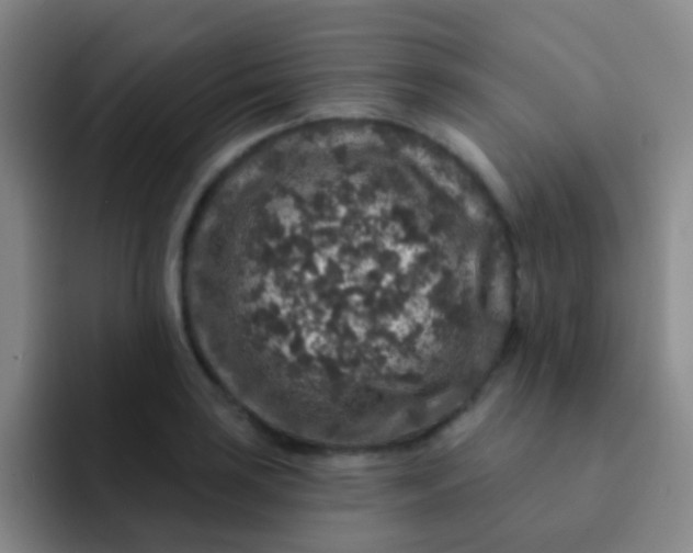 X0000091931035200709261910