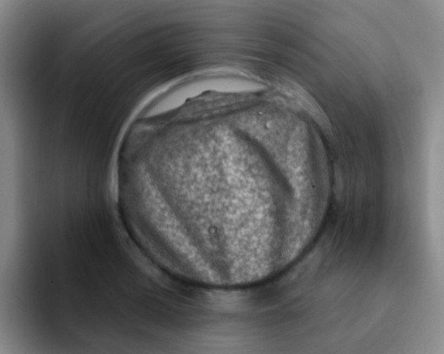 X0000091931036200709261910