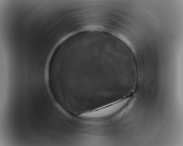 X0000091931037200709261910