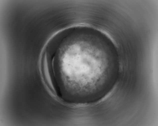 X0000091931038200709261910