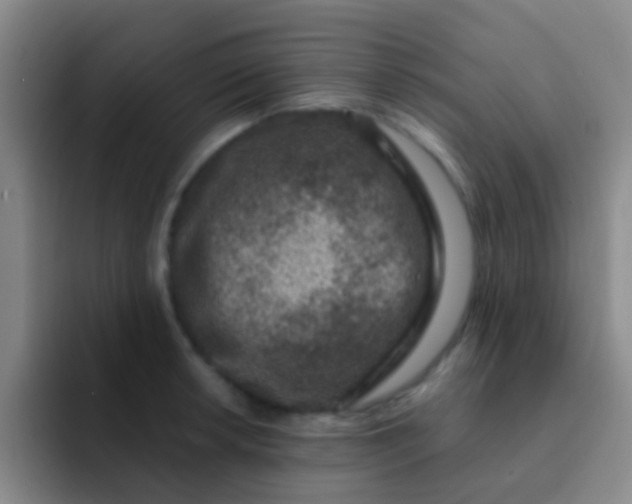 X0000091931042200709261910