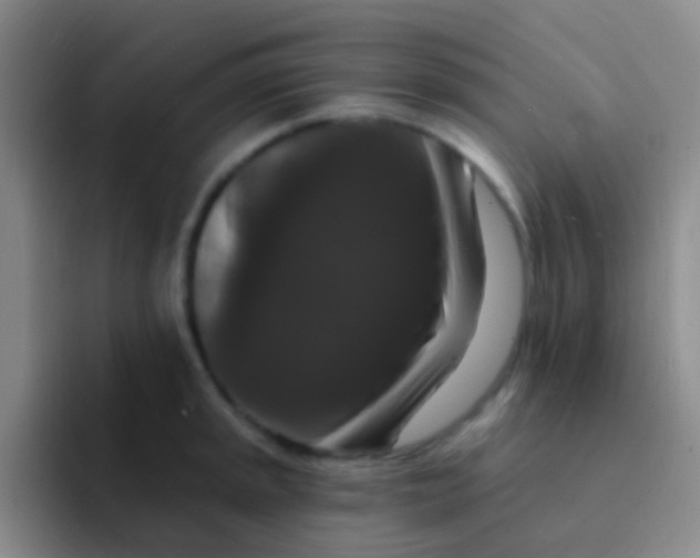 X0000091931045200709261910