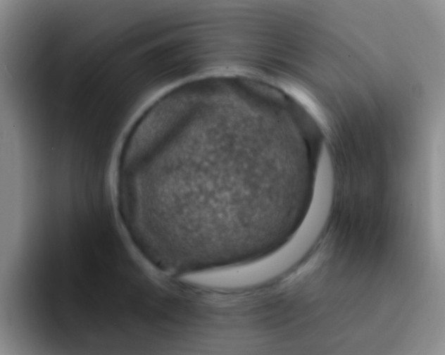 X0000091931046200709261910