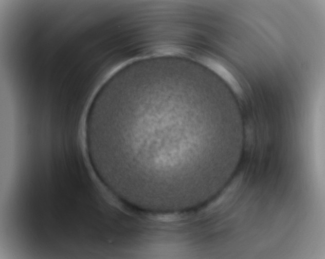 X0000091931047200709261910