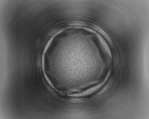 X0000091931049200709261910