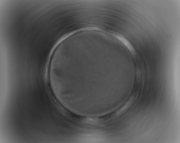 X0000091931052200709261911