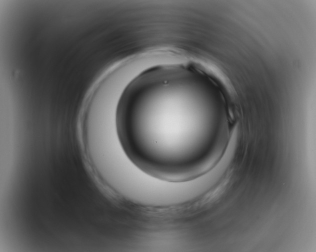 X0000091931054200709261911