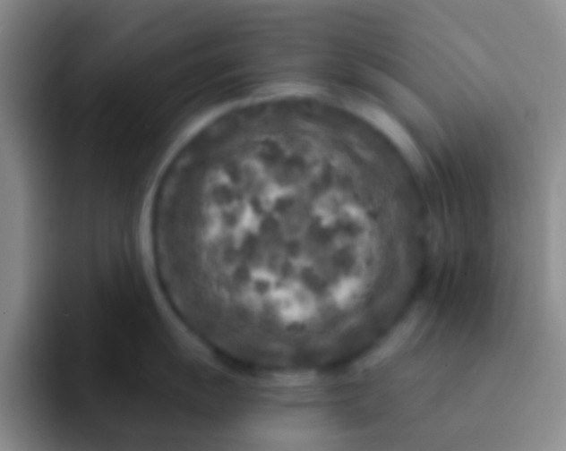 X0000091931055200709261911