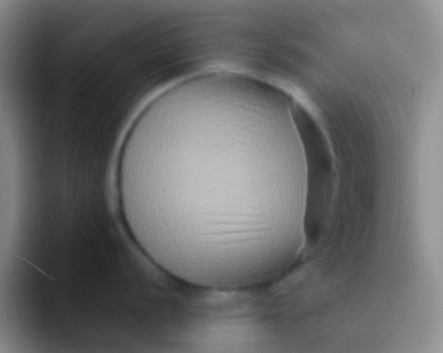 X0000091931056200709261911