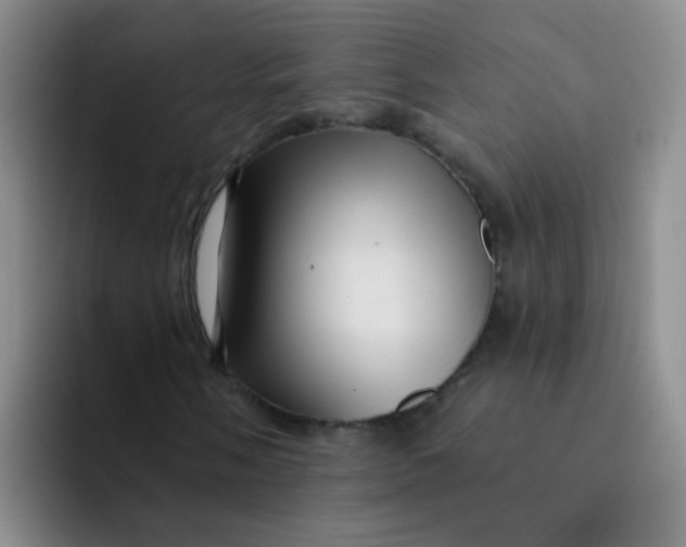 X0000091931058200709261910