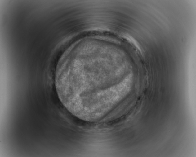 X0000091931064200709261910