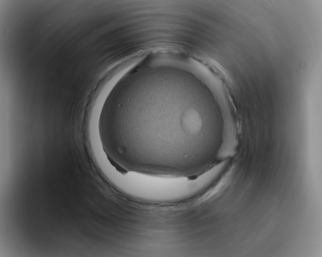 X0000091931065200709261910
