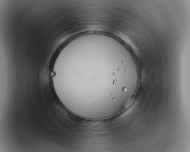 X0000091931067200709261910