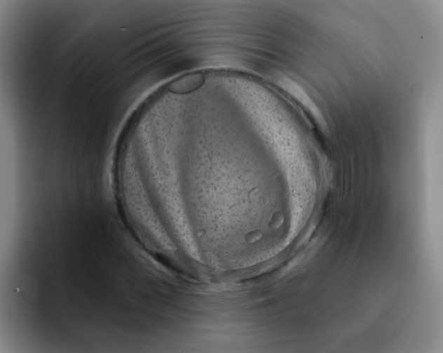 X0000091931068200709261910