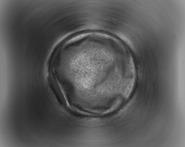 X0000091931070200709261910