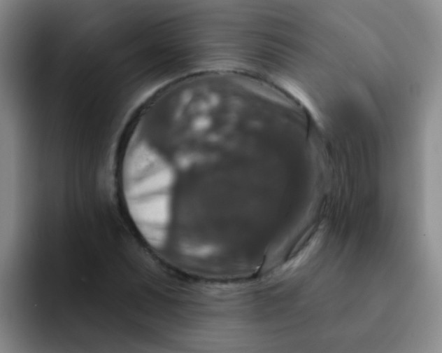 X0000091931071200709261910