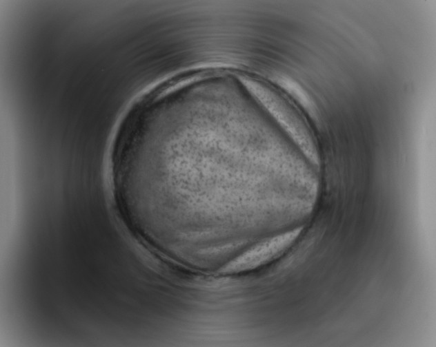 X0000091931072200709261910