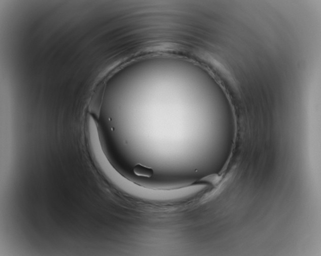 X0000091931073200709261910