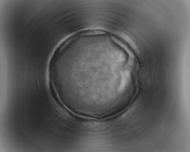 X0000091931076200709261910