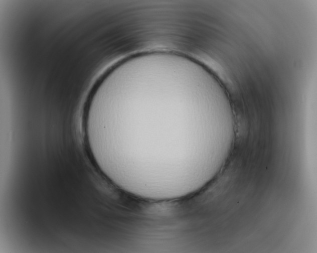 X0000091931078200709261910
