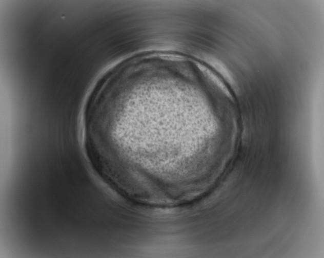 X0000091931080200709261910
