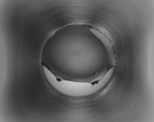 X0000091931081200709261910