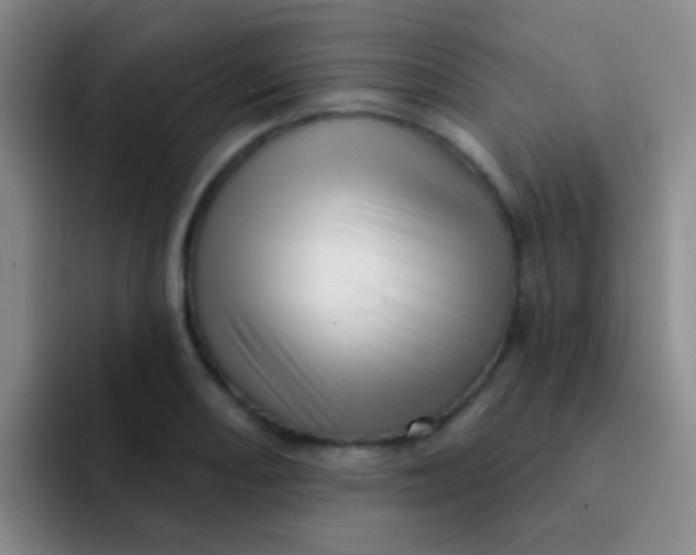 X0000091931082200709261910