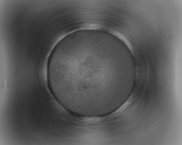 X0000091931083200709261910