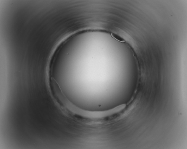 X0000091931085200709261910