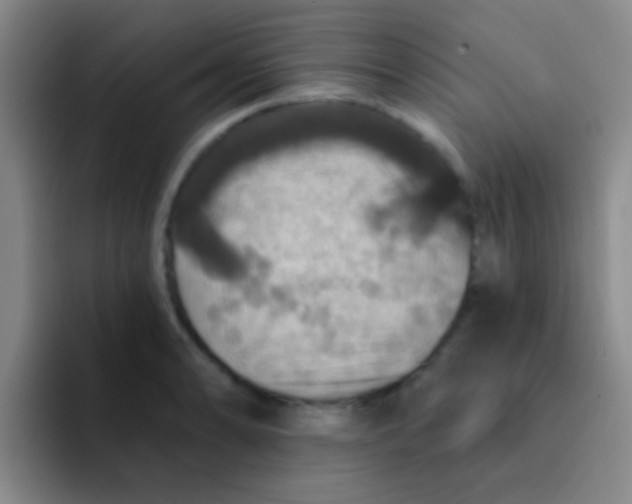 X0000091931086200709261910