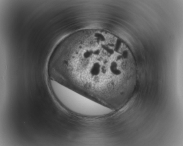 X0000091931087200709261910