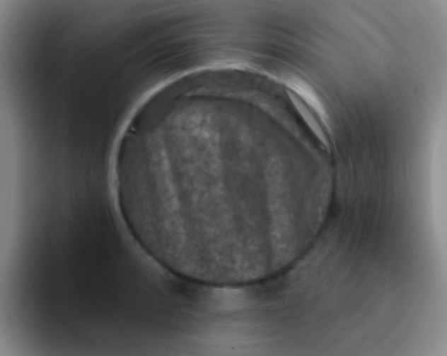 X0000091931088200709261910