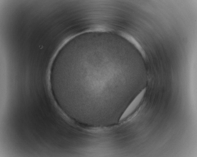 X0000091931091200709261910