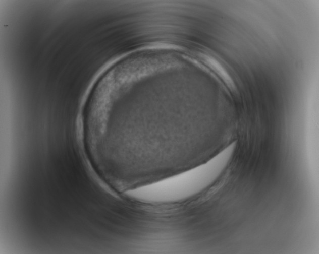 X0000091931092200709261910