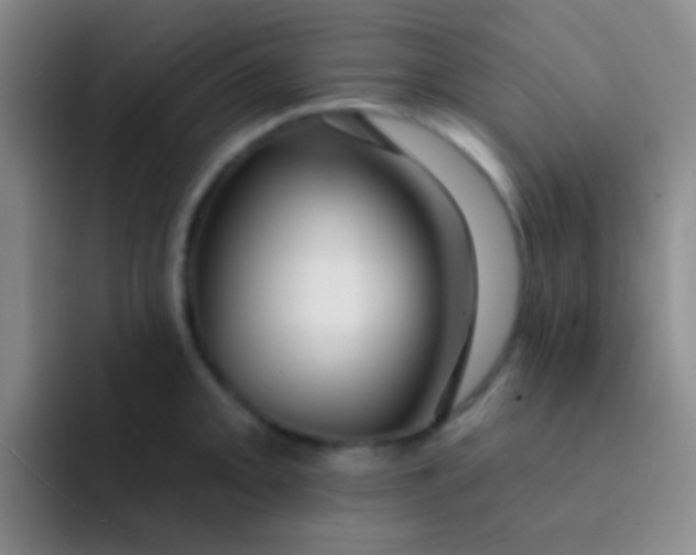 X0000091931093200709261910