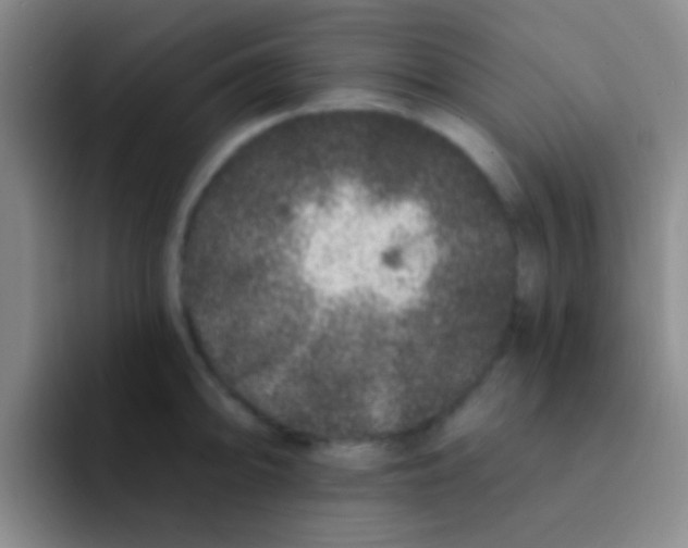 X0000091931094200709261910