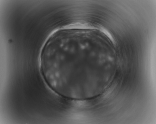 X0000091931095200709261910