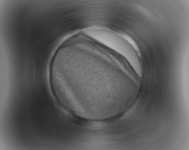 X0000091931096200709261910