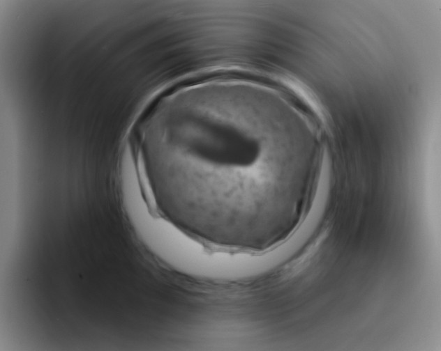 X0000091931097200709261910