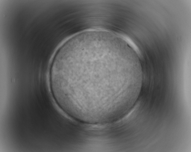 X0000091931100200709261910