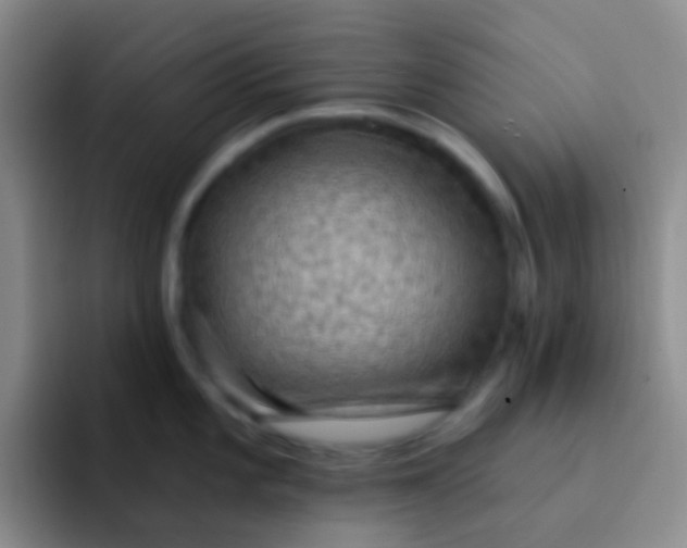 X0000091931101200709261910