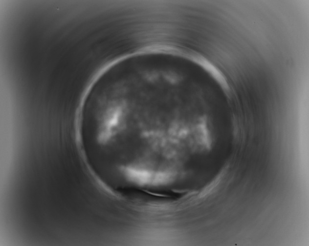 X0000091931102200709261909