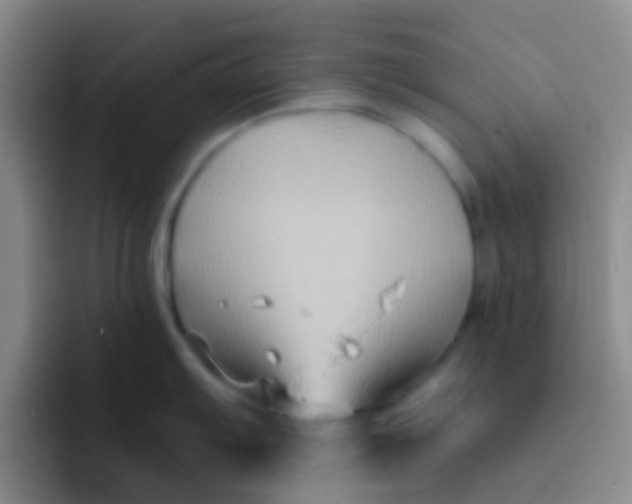 X0000091931103200709261909